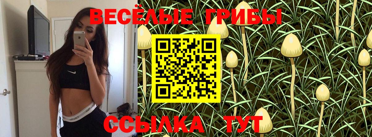 Галлюциногенные грибы мухоморы Новотроицк