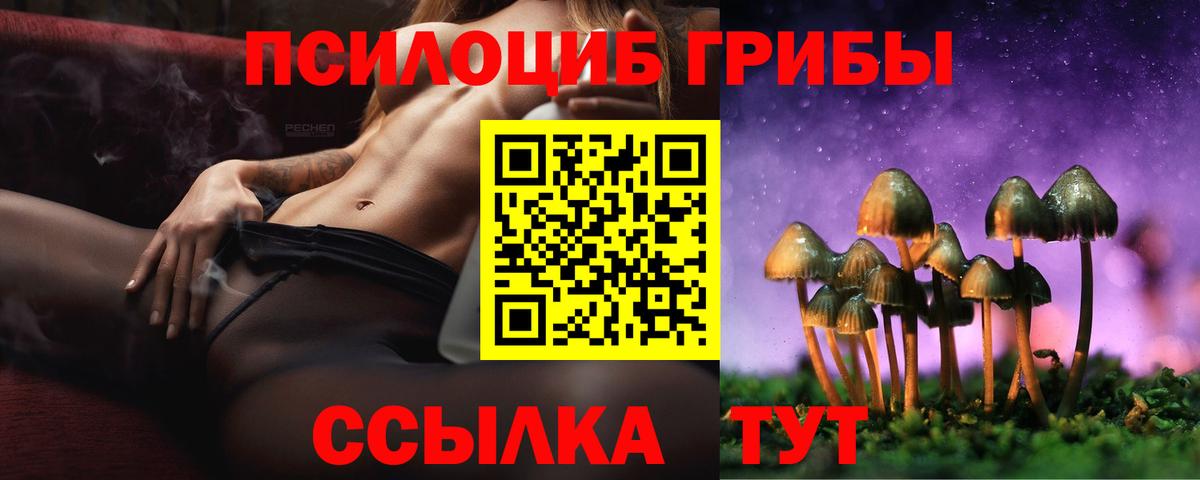 Новотроицк  Псилоцибиновые грибы GOLDEN TEACHER  Вход с VPN 